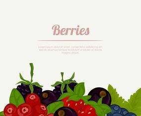 Set Of Berries Fruit