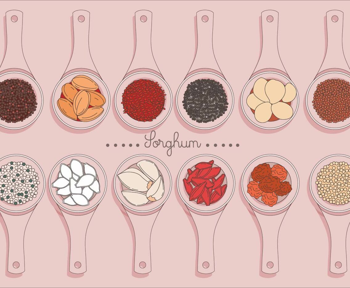 Sorghum Vector