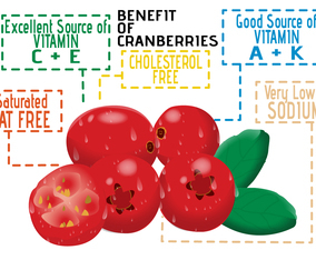 Benefits Of Cranberries