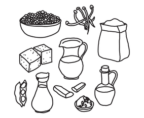 Black  White Doodles About Tofu And Other Vegan Proteins