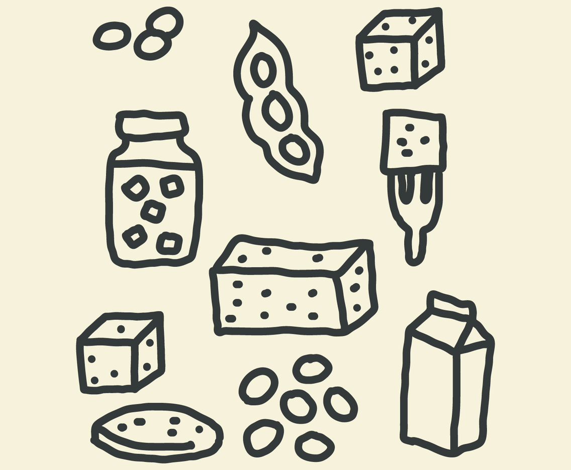 Doodles About Plant Based Proteins