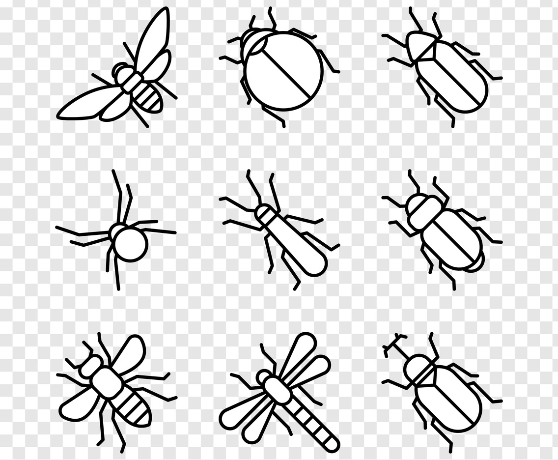 Insect Icons
