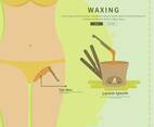 Free Waxing Bikini Line Illustration