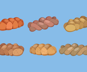 Challah Bread Vector Collection