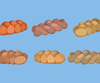 Challah Bread Vector Collection