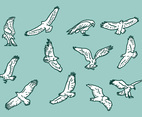 Buzzard Eagle Vector Icons