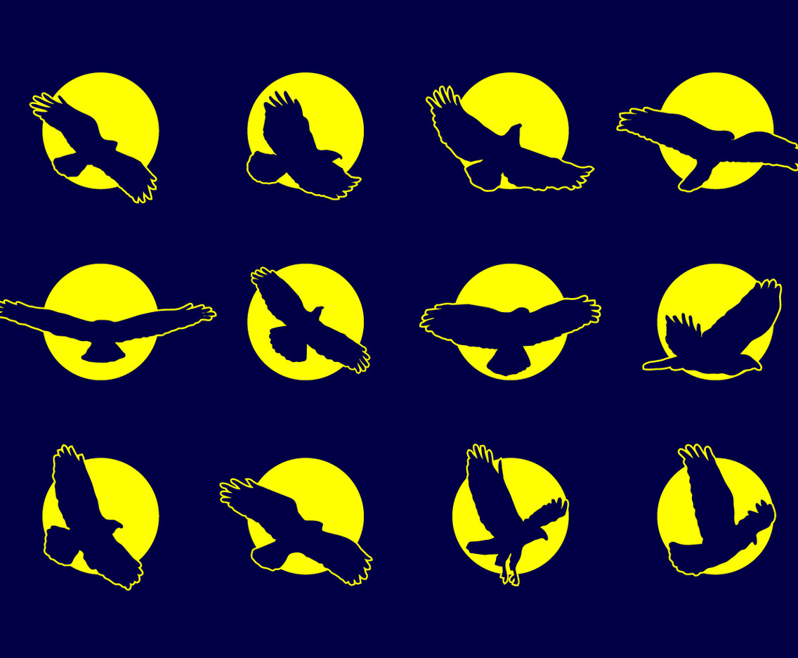 Buzzard Eagle Icons