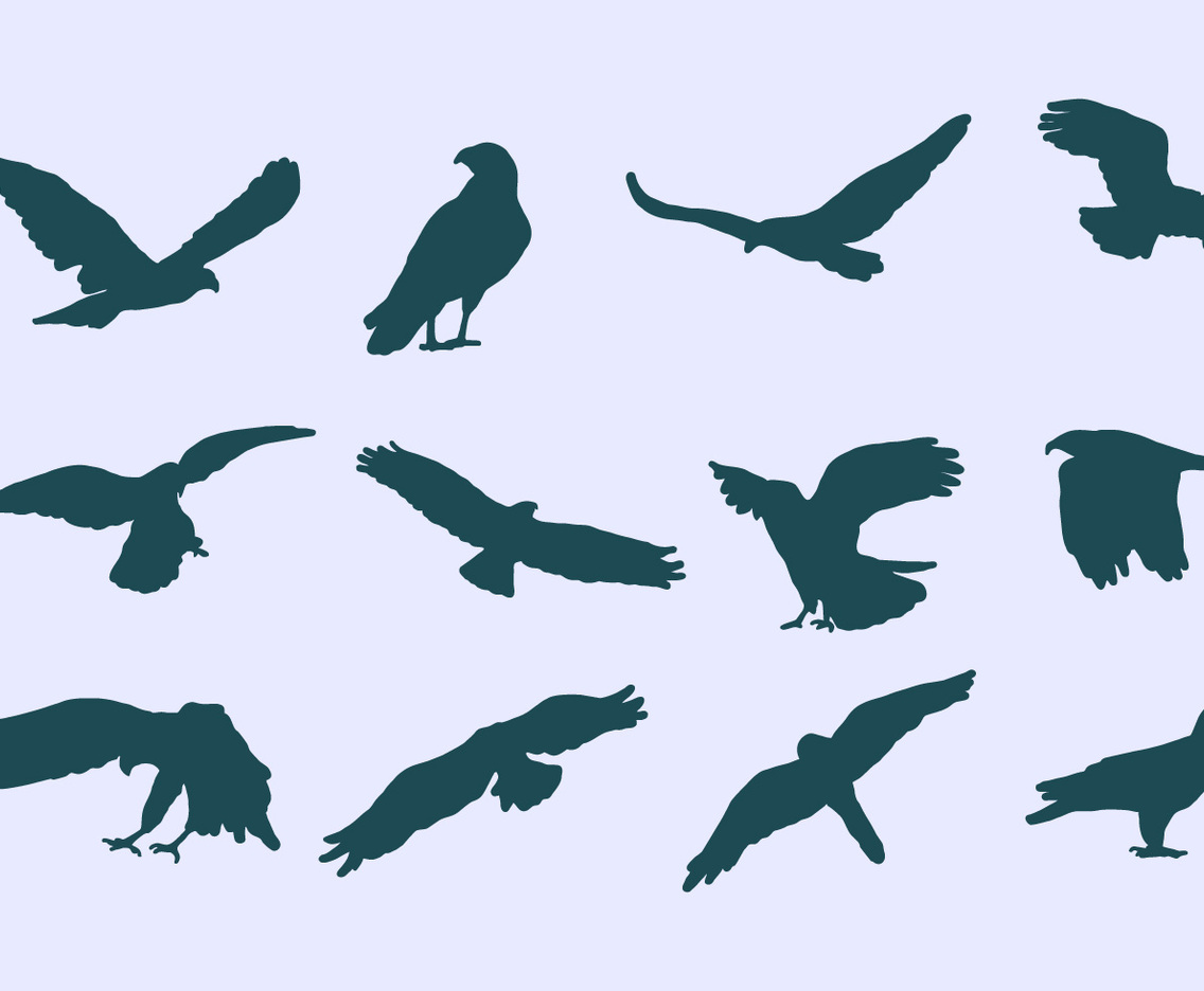 Buzzard Eagle Icons