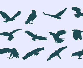 Buzzard Eagle Icons