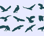 Buzzard Eagle Icons