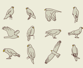 Buzzard Eagle Icons