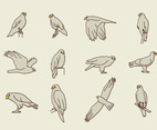 Buzzard Eagle Icons