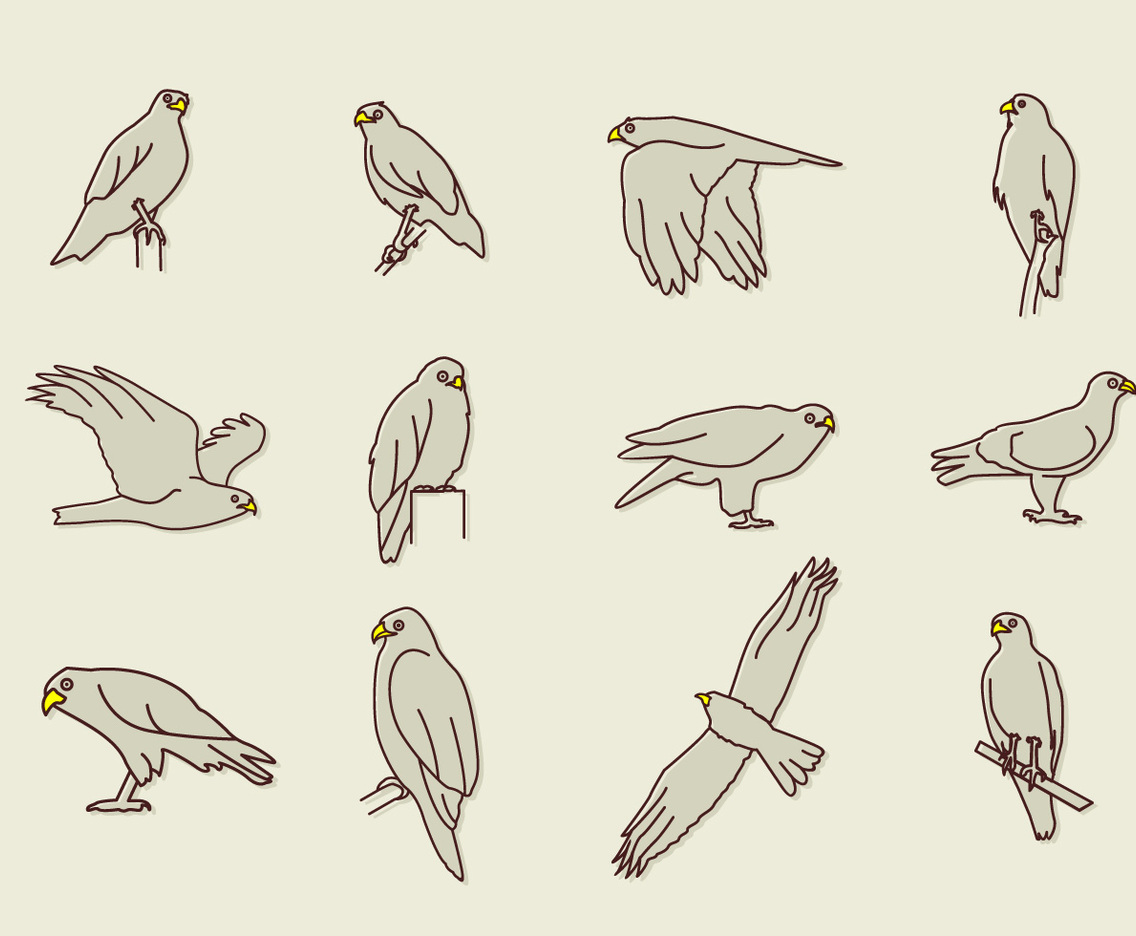 Buzzard Eagle Icons