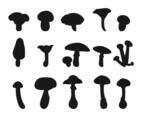 Mushrooms Vector