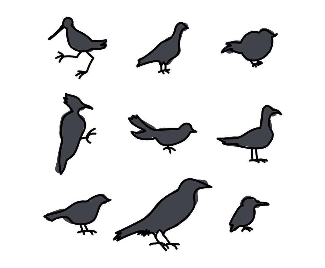 Silhouettes Of Birds