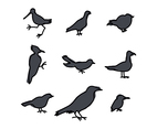 Silhouettes Of Birds