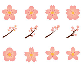 Floral Blossoms Graphics Set