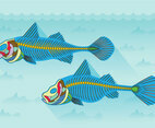 Fishbone Anatomy Vector