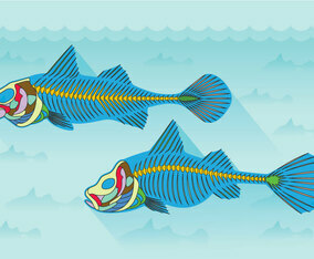 Fishbone Anatomy Vector