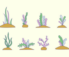 Seaweed Vector