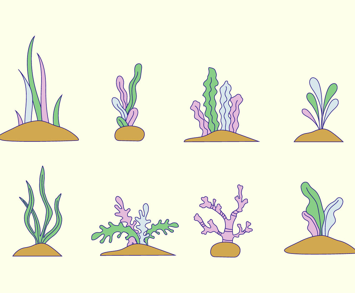 Seaweed Vector