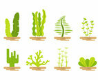 Seaweed Vector