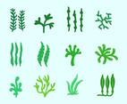 Sea Plants And Seaweed