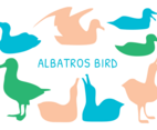 Silhouette Albatross Vector