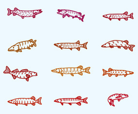 Muskie Icons Set