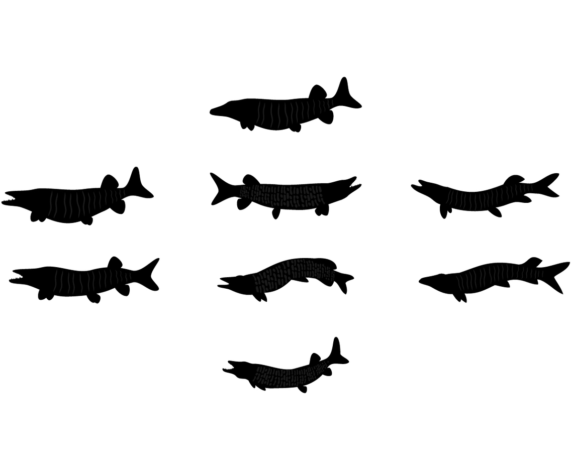 Muskie Silhouette Free Vector