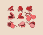 Castanets Vector