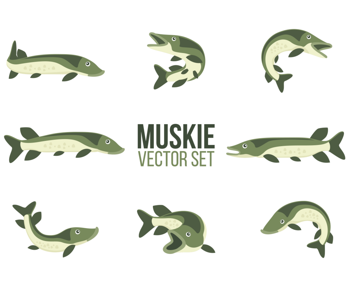 Muskie Cartoons