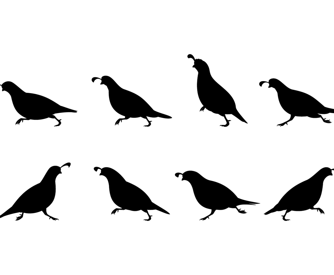 Running Quail Silhouette Free Vector