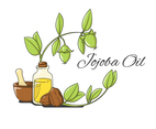 Jojoba Herbal Vector
