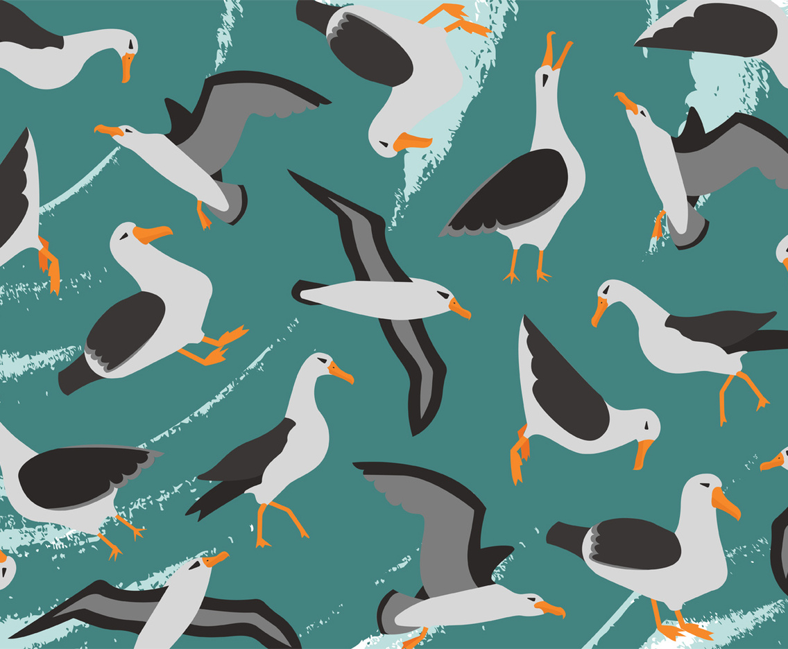 Albatros Vector Pattern