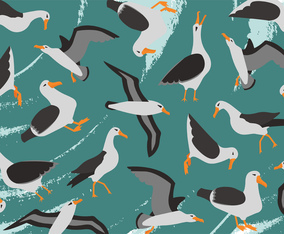 Albatros Vector Pattern