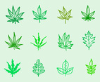 Maple Leaves Vector Pack