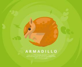 Armadillo Illustration