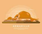 Armadillo Illustration