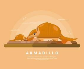 Armadillo Illustration