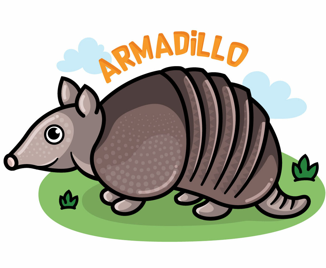 Armadillo Cartoon