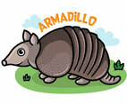 Armadillo Cartoon