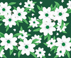 Flower Pattern