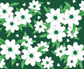 Flower Pattern