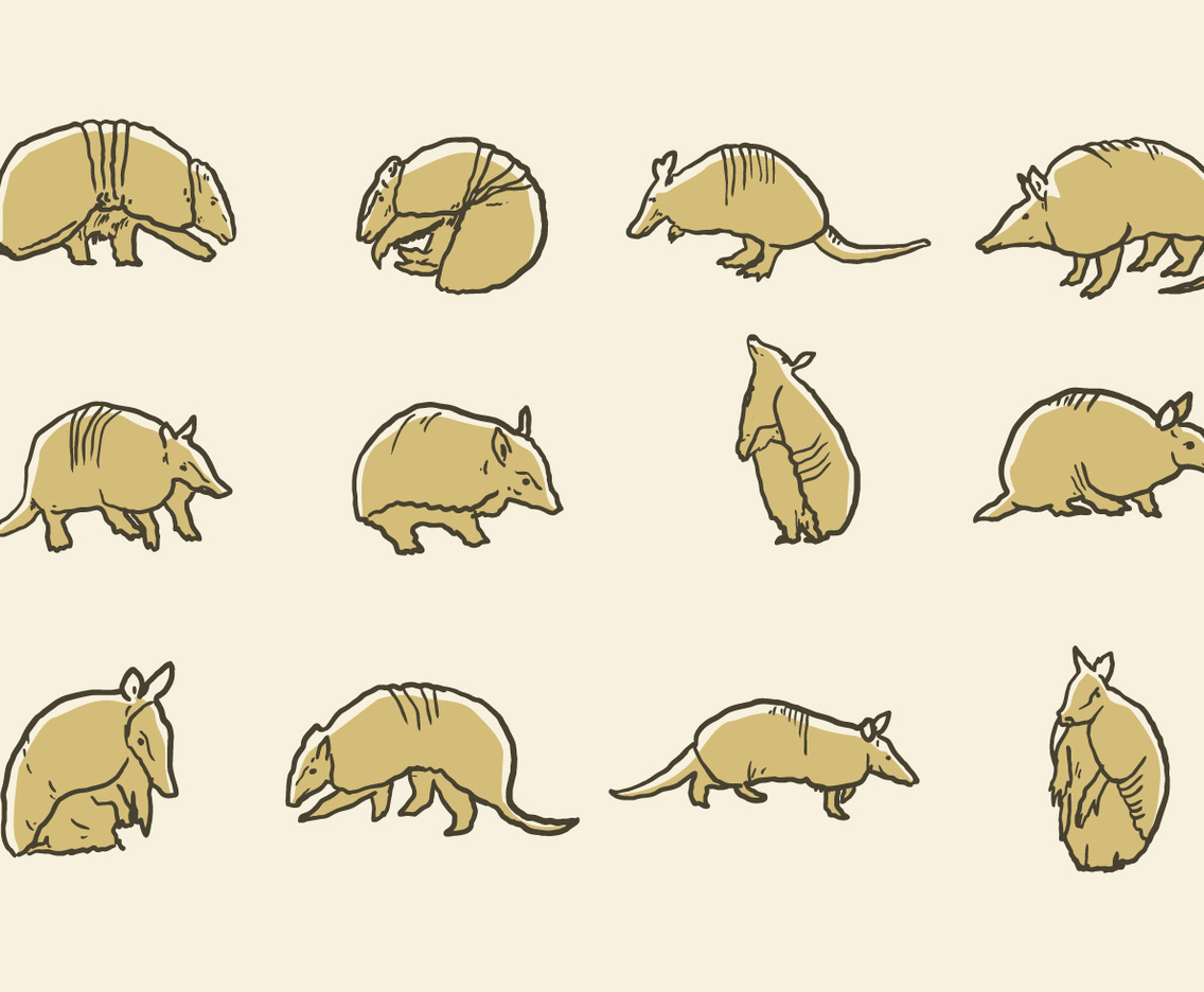 Armadillo Icons Vector