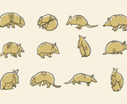 Armadillo Icons Vector