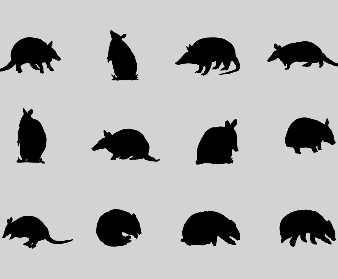 Armadillo Sillhaouttes