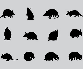 Armadillo Sillhaouttes