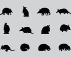 Armadillo Sillhaouttes