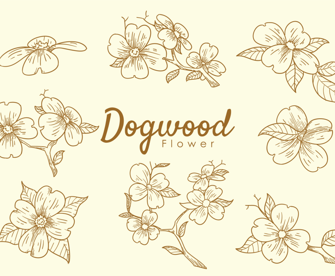 Dogwood Flowers